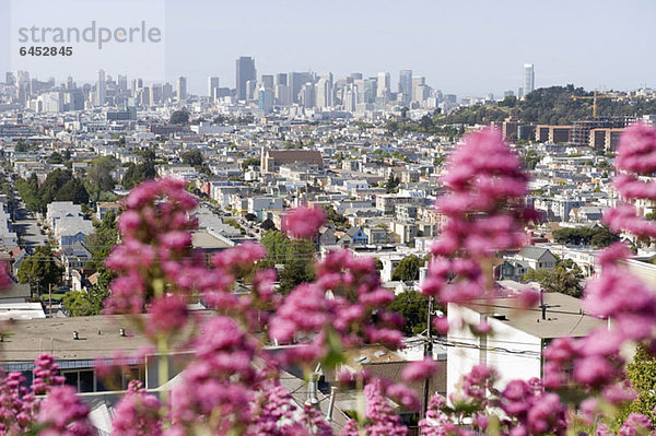 Stadtansicht  San Francisco  Kalifornien  USA