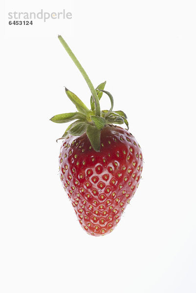 Eine einzelne Erdbeere auf weißem Grund