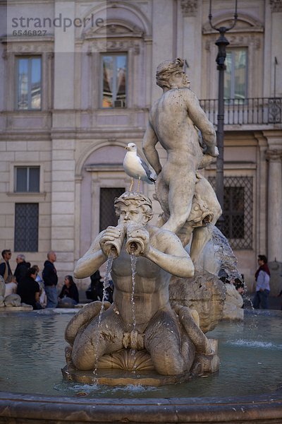 Springbrunnen  Brunnen  Fontäne  Fontänen  hocken - Tier  Zierbrunnen  Brunnen  Möwe