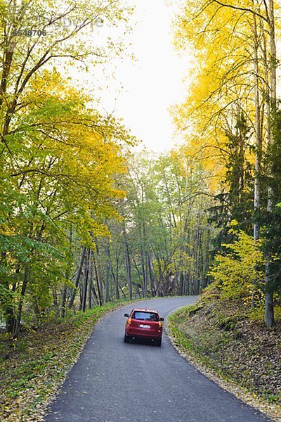 bedecken  Auto  Fernverkehrsstraße  Wald  Herbst