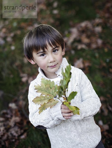 Portrait  Junge - Person  halten  Zweig