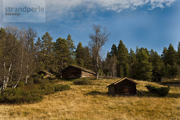 nahe Wald alt