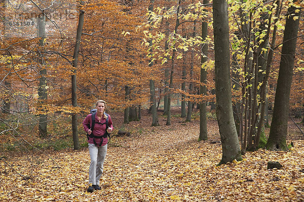 Germany  North Rhine Westphalia  Mature woman hiking in autumn forest