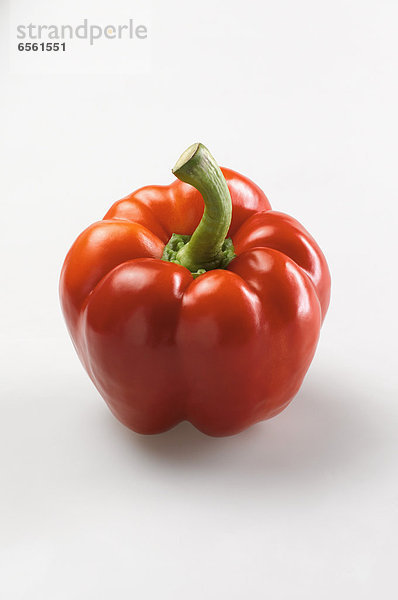 Red bell pepper on white background  close up