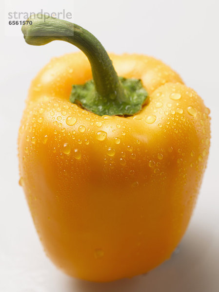 Gelbe Paprika auf weißem Grund  Nahaufnahme