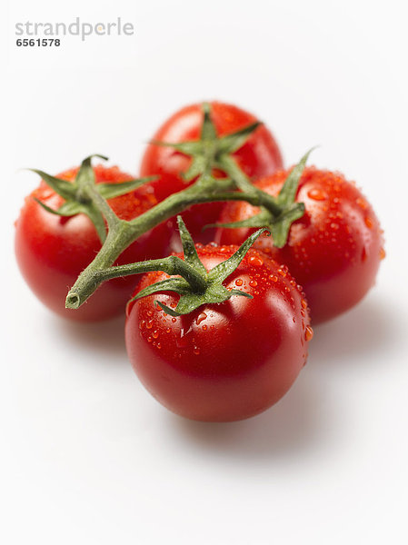 Nasse Tomaten auf weißem Hintergrund  Nahaufnahme