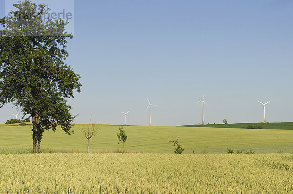 Germany  Saxony  View of wind turbine on field