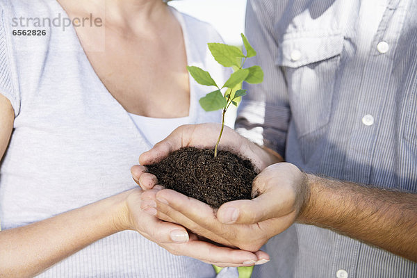 Germany  Cologne  Young couple holding seedling
