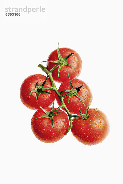 Nahaufnahme von Tomaten mit Wassertropfen auf weißem Hintergrund