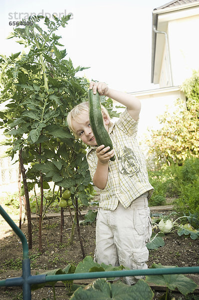 Boy holding cucumber in garden