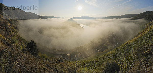 Deutschland  Rheinland-Pfalz  Nebel im Moseltal bei Sonnenaufgang