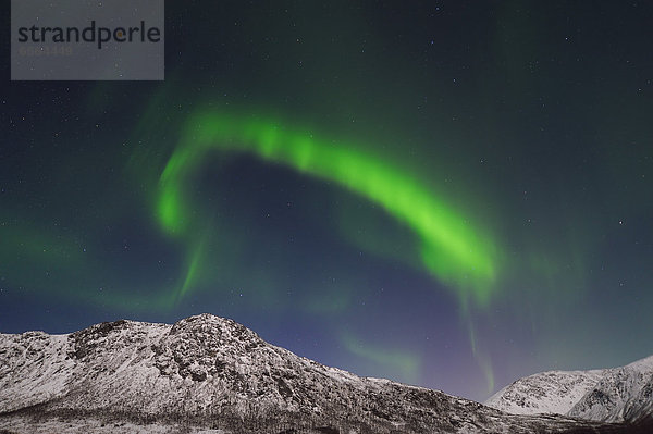 Norway  Troms  View of Aurora Borealis near Tromso