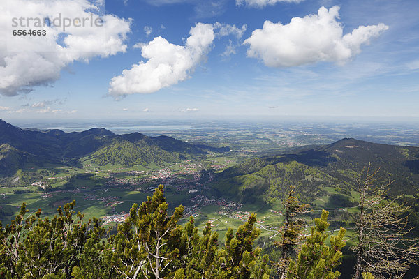 Deutschland  Bayern  Blick auf die Chiemgauer Alpen