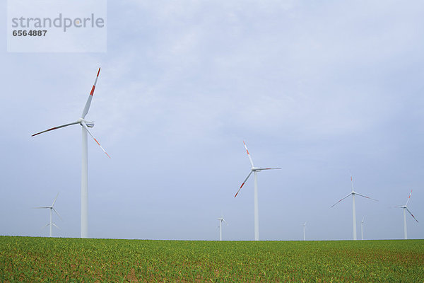Germany  Baden-Wuerttemberg  Wind turbines near Wertheim against sky