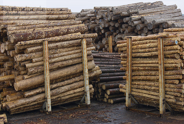 Germany  Baden-Wuerttemberg  Bopfingen  Stack of tree logs