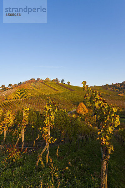 Deutschland  Baden Württemberg  Stuttgart  Blick auf Weinberge mit Grabkapelle und Grabkapelle