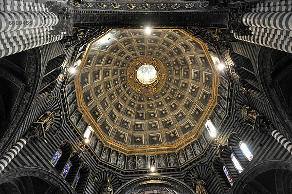 Kuppel des Doms von Siena  Cattedrale di Santa Maria Assunta  Innenansicht  Hauptkirche der Stadt Siena  Toskana  Italien  Europa