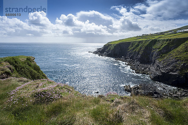 Küstenlandschaft am Atlantik  Dingle Halbinsel  County Kerry  Irland  Europa