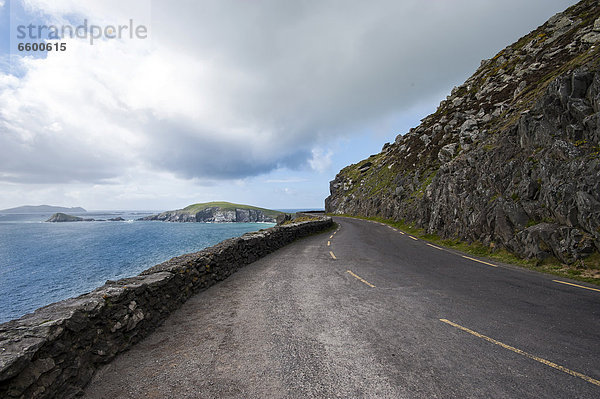 Küstenstraße auf Dingle Halbinsel  County Kerry  Irland  Europa