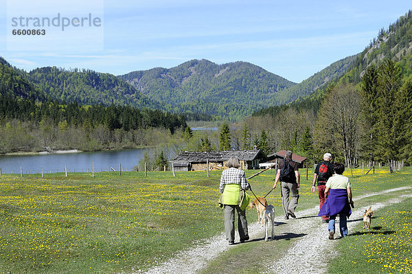 Wanderer beim Lödensee  Chiemgau  Chiemgauer Alpen  Oberbayern  Bayern  Deutschland  Europa