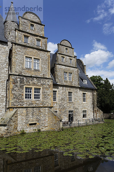 Schelenburg  Wasserburg im Renaissance-Stil  Bissendorf-Schledehausen  Osnabrücker Land  Niedersachsen  Deutschland  Europa