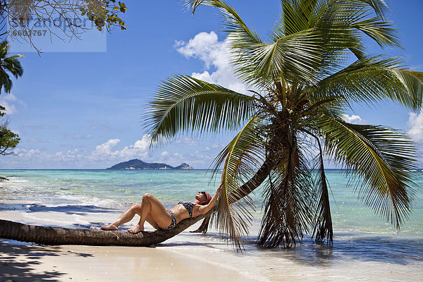 Frau Entspannung Bikini Baum Palme Indischer Ozean Indik