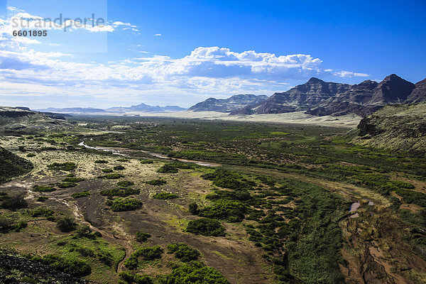 Huab  Trockenfluss  Sumpfgebiet  Damaraland  Namibia  Afrika