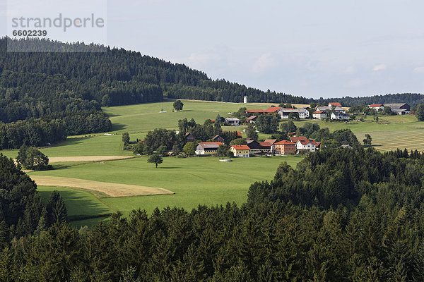 Straß und Paulsdorf  Blick vom Baumkronenweg in Kopfing im Innkreis  Innviertel  Oberösterreich  Österreich  Europa