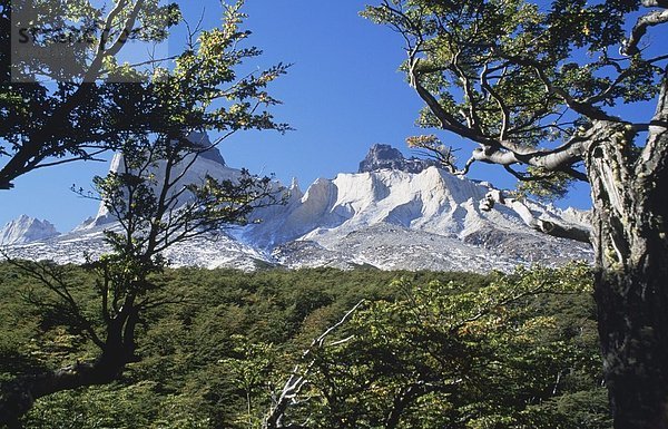 Cuernos Del Paine