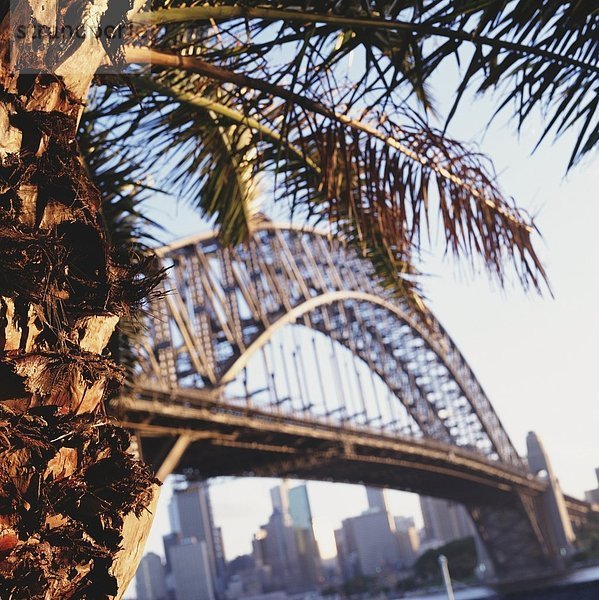 Großstadt  Brücke  Fokus auf den Vordergrund  Fokus auf dem Vordergrund  Sydney