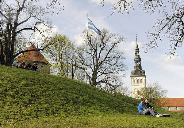 Menschen sitzen auf einer Wiese  hinten ein Kirchturm  Tallinn  Estland  Nordeuropa