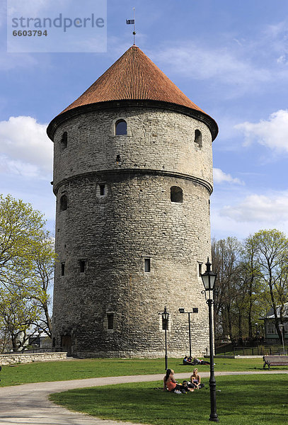 Kiek in de Kök Kanonenturm  Tallinn  Estland  Nordeuropa