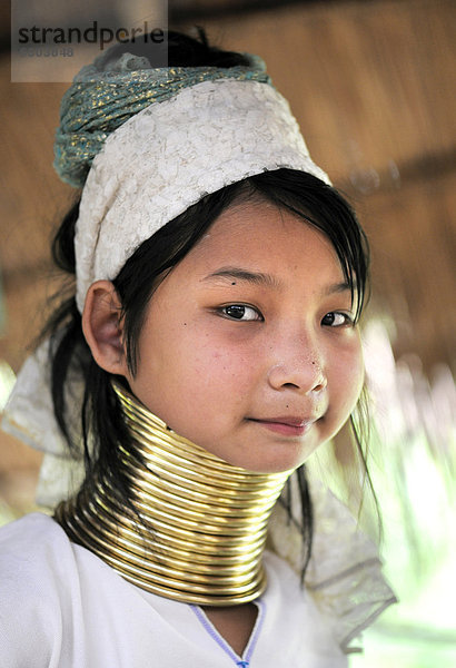 Junge Langhals-Frau mit Messing-Halsringen  Chiang Rai  Thailand  Asien