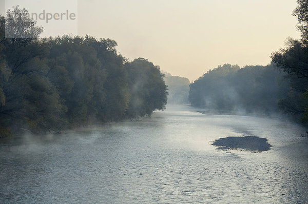 Fluss Isar im Morgennebel  Naturschutzgebiet Isarauen bei Freising  Oberbayern  Bayern  Deutschland  Europa