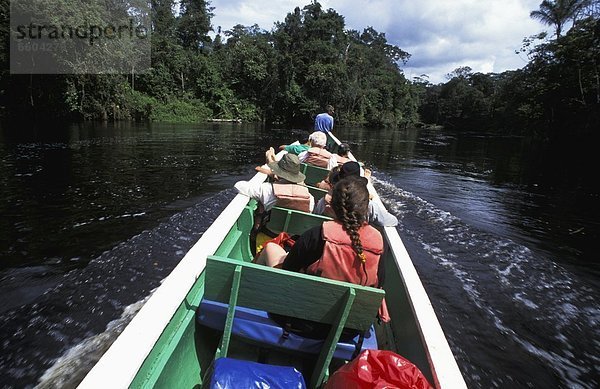 Reise  Regenwald  Tourist  Fluss  Rennboot