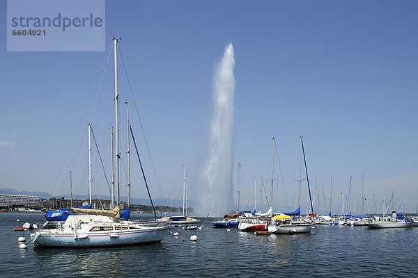 Blick auf den Genfersee mit Jet d'eau und Segelbooten  Genf  Schweiz  Europa
