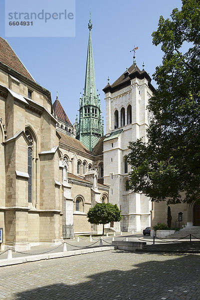 Kathedrale St Peter  Genf  Schweiz  Europa