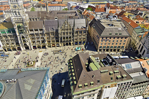 Blick vom Alten Peter auf auf Marienplatz und das Neue Rathaus  München  Oberbayern  Bayern  Deutschland  Europa