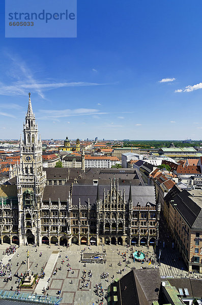 Blick vom Alten Peter auf Marienplatz und Neues Rathaus  München  Oberbayern  Bayern  Deutschland  Europa