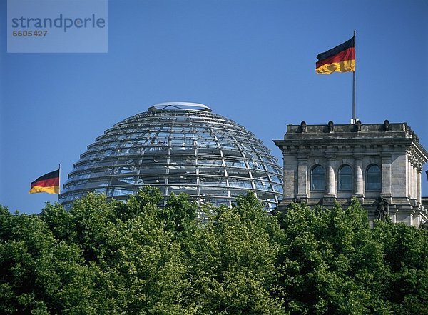 Berlin-Tiergarten  Tiergarten  Baum  über  Reichstag