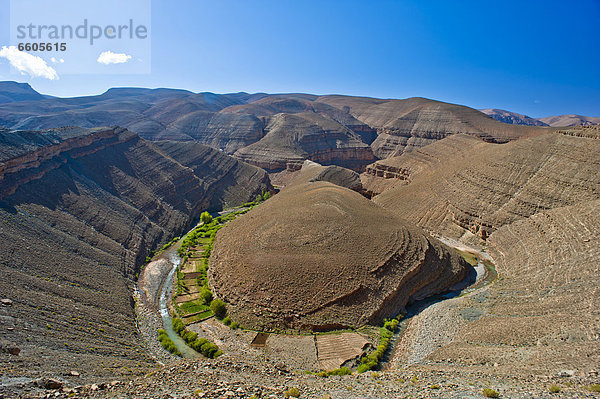 Canyonartiges Flusstal des Dades  Schichtstufenlandschaft  am Flussufer kleine Oasen der Berber  oberes Dadestal  Hoher Atlas  Marokko  Afrika