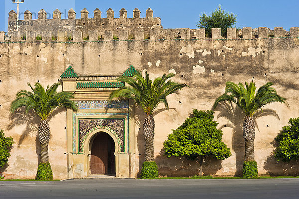 Typisches Eingangstor mit Verzierungen  Stampflehmmauer mit Palmen  Königspalast  Dar El-Makhzen  Meknes  Marokko  Afrika
