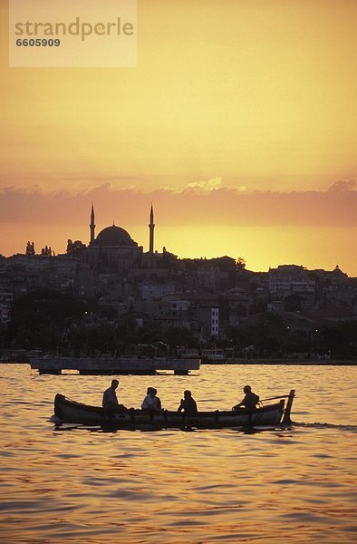 Truthuhn  Sonnenuntergang  Boot  Bosporus  Istanbul  Türkei
