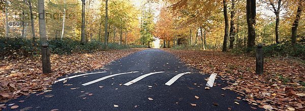 leer Fernverkehrsstraße Herbst Geschwindigkeit
