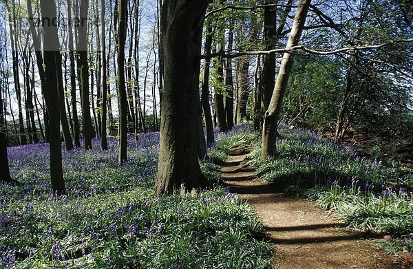 Herrenhaus Garten