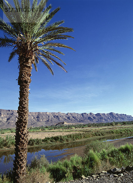 Berg  Baum  Landschaft  Hintergrund  Palme  marokkanisch