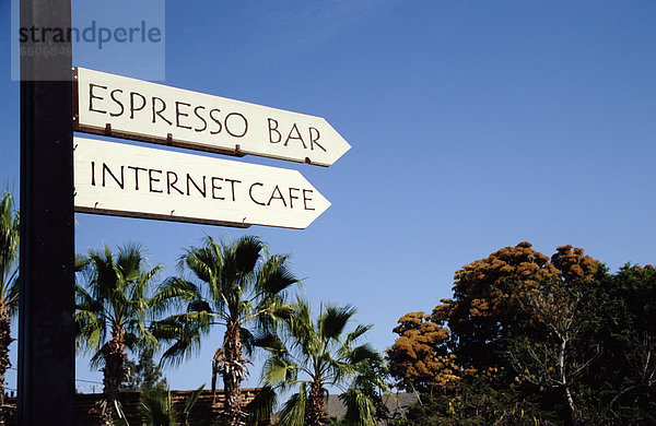 Baum  Zeichen  Cafe  Hintergrund  Internet  Signal