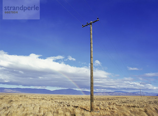 Telefonmast  Landschaft