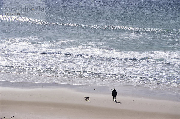 Erhöhte Ansicht  Aufsicht  Mann  gehen  Strand  Hund  vorwärts