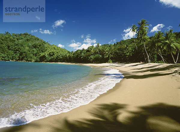 leer  Wasserrand  Tropisch  Tropen  subtropisch  Strand